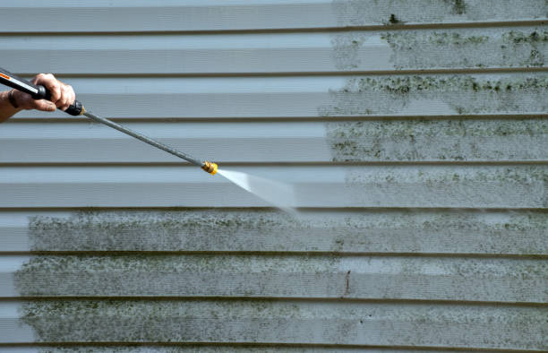 Best Residential Pressure Washing Services  in Genoa, OH