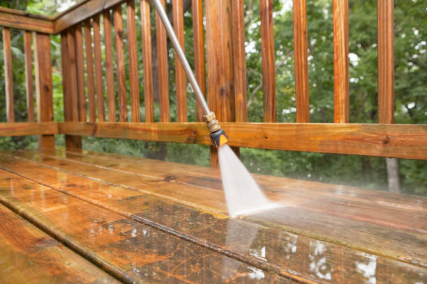 Best Roof Pressure Washing  in Genoa, OH