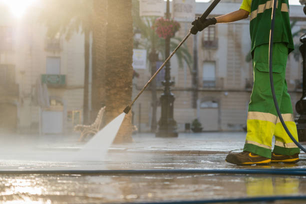 Best Local Pressure Washing Services  in Genoa, OH